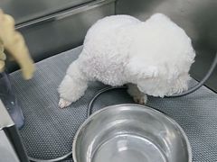 -北京观赏动物医院·24小时大型综合·猫专科·异宠专科