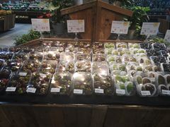 -果蔬好生活超市(乐堤港店)