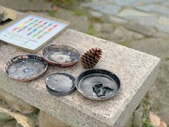 -温州永嘉书院
