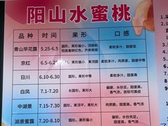 -老袁家蜜桃农场·阳山水蜜桃