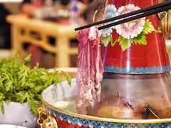 -京炭铜锅涮肉·羊蝎子·羊肉炉(保利·时光里店)