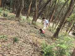 -杭州半山国家森林公园