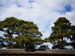 -京都御所