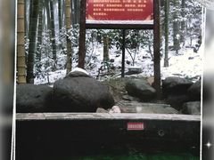 -江南天池