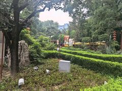 -白家大院·王府宫廷菜(苏州街店)