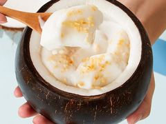 -志龙皇冠吃货椰子铺