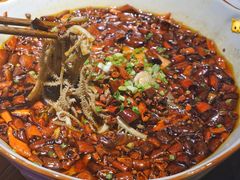 -猫头婴小酒馆FUN OWL(1912店)