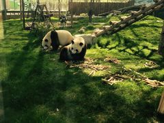 -鄂尔多斯野生动物园