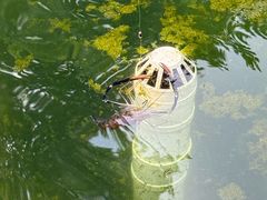 -DGE季风钓虾营地·团建·聚会