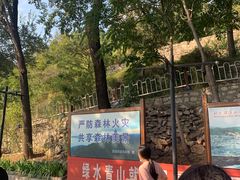 -原山国家森林公园