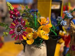 -上海乐高探索中心