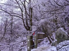 -崂山巨峰游览区