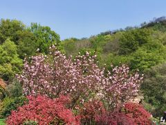 -南京市江宁方山
