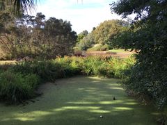 -墨尔本皇家植物园
