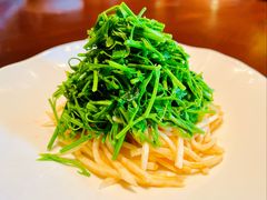 茭白拌辣木苗-新荣记(建国门外大街店)