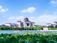 -莲花池公园