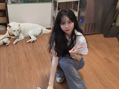 -柴犬高等学院·狗咖·柴犬售卖·宠物训练