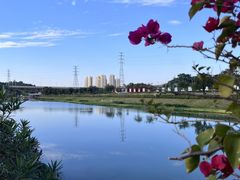 -那考河湿地公园