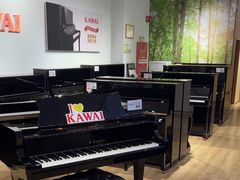 -柏斯音乐(北京荟聚购物中心)