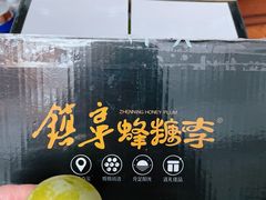 -叶氏兄弟果业(大连鲁迅店)