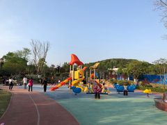 -铁山坪森林公园