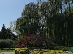 -玲珑塔公园
