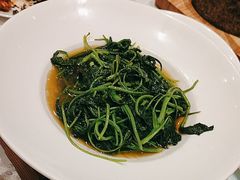 -沪碟·精菜坊(闵行店)