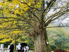 -径山寺