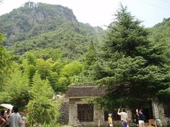 -四明山国家森林公园