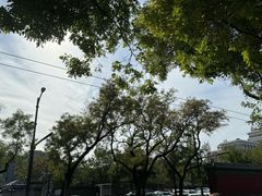 -历代帝王庙博物馆