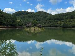 -广州白江湖森林公园