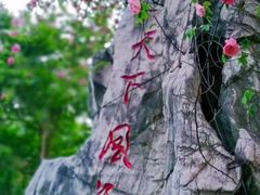 -鹅湖玫瑰文化园