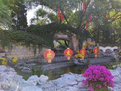 -团结湖公园
