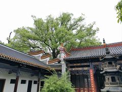 -南岳大庙