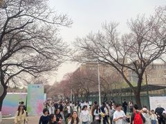 -吉林大学(南岭校区)