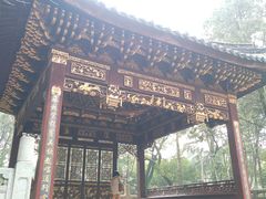 -汇龙潭
