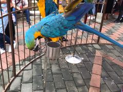 -贵州森林野生动物园