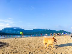 -西涌国际滨海旅游区