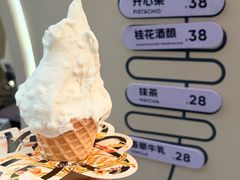-野人先生现做冰淇淋(北京环宇荟店)
