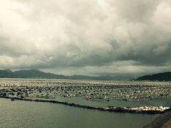 景点-福州罗源湾海洋世界旅游区