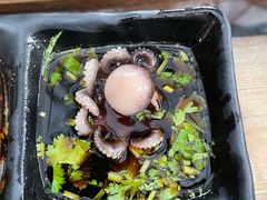 八爪鱼-丽江庭院之爱在路上(西单店)