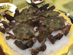 -渔傅·蓝海岸霞浦海鲜(正祥店)
