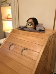 -大美母婴月子中心