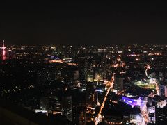 -洲际酒店·凌霄餐厅(紫峰大厦店)