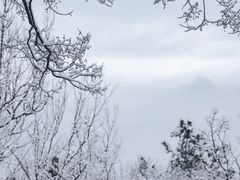 -紫金山天文台