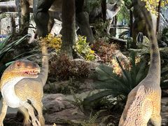 -湖南省地质博物馆