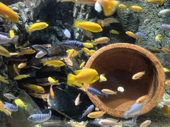 -太平洋海底世界