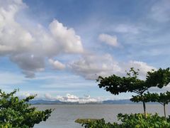 -深圳湾公园(南山区)