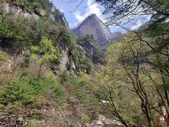 -青峰峡国家森林公园