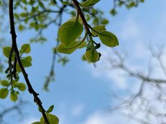 -北京西山国家森林公园